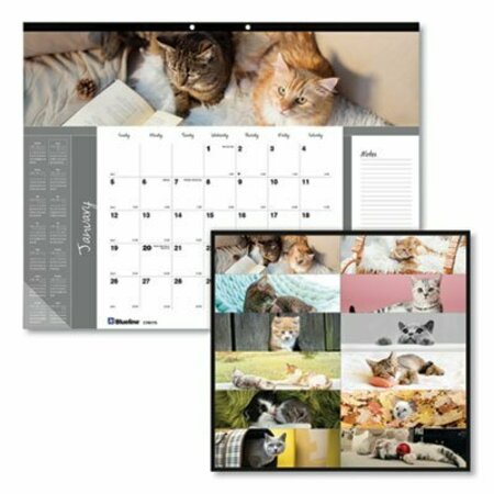 REDIFORM OFFICE PRODUCTS Blueline, PETS COLLECTION MONTHLY DESK PAD, 22 X 17, FURRY KITTENS, 2021 C194115